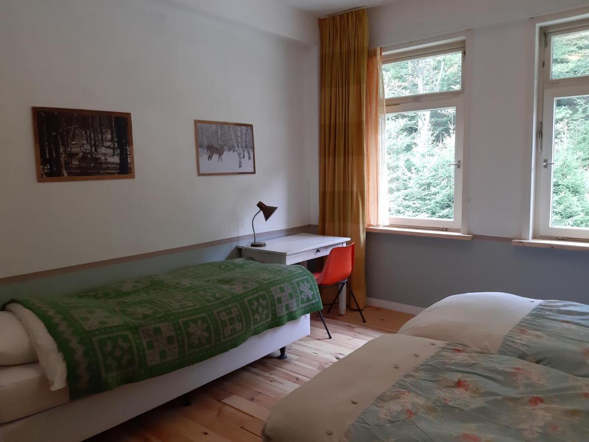 Das Okerhaus Vegetarische B&B Mit Halbpension Altenau  Exterior foto