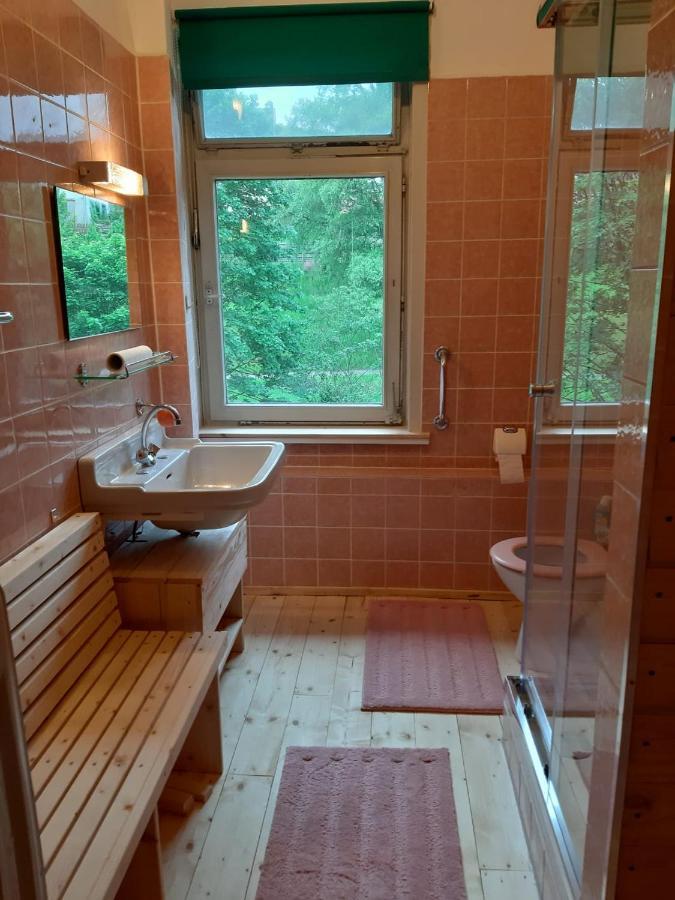 Das Okerhaus Vegetarische B&B Mit Halbpension Altenau  Exterior foto